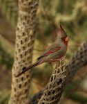 IMG_0351_1.jpg