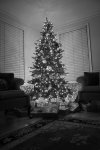 christmas tree 2013.jpg