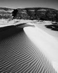 coral pink sand dunes and moquith mts.jpg