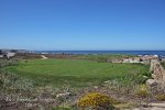 Monterey 07 017.jpg