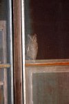 IMG_0045a.jpg