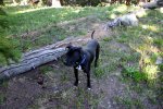 IMG_0073a.jpg