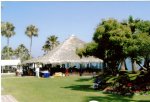 Palapa.jpg