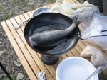 fish-in-a-pan.jpg