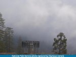 sequoia web cam.jpg
