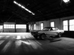 Lonely Mustang 2s.jpg