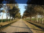 highways argentina.jpg