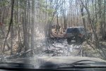 puddle 1.jpg