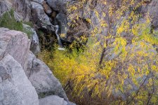 Autumn Willows and Small Waterfall in Romero Canyon.jpg