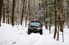 catskills Erik-5.jpg