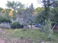 IMG_1038.jpeg
