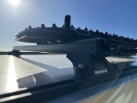 IMG_8955.jpeg
