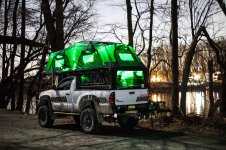 back in the greenwoods-11.jpg