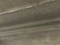 IMG_2528.jpeg