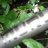 MuruCycles