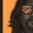 The-Dude
