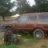 Dog_Wagon