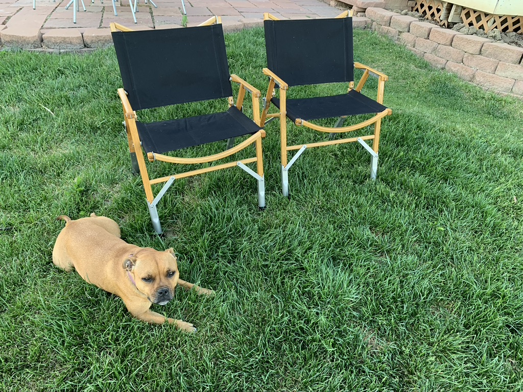 1592355337948.jpeg 1592355337948.jpeg