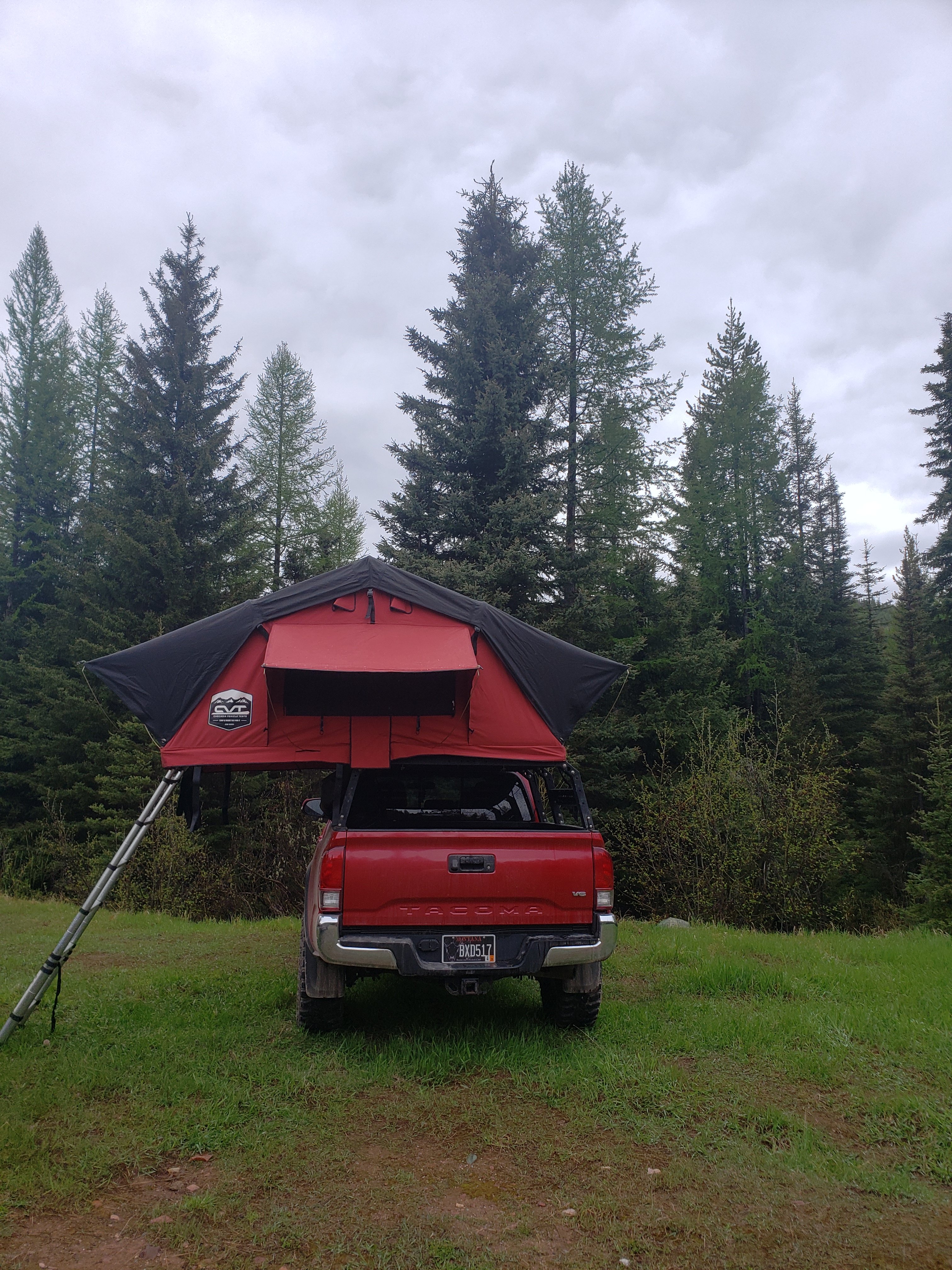 Cvt mt shasta online tent