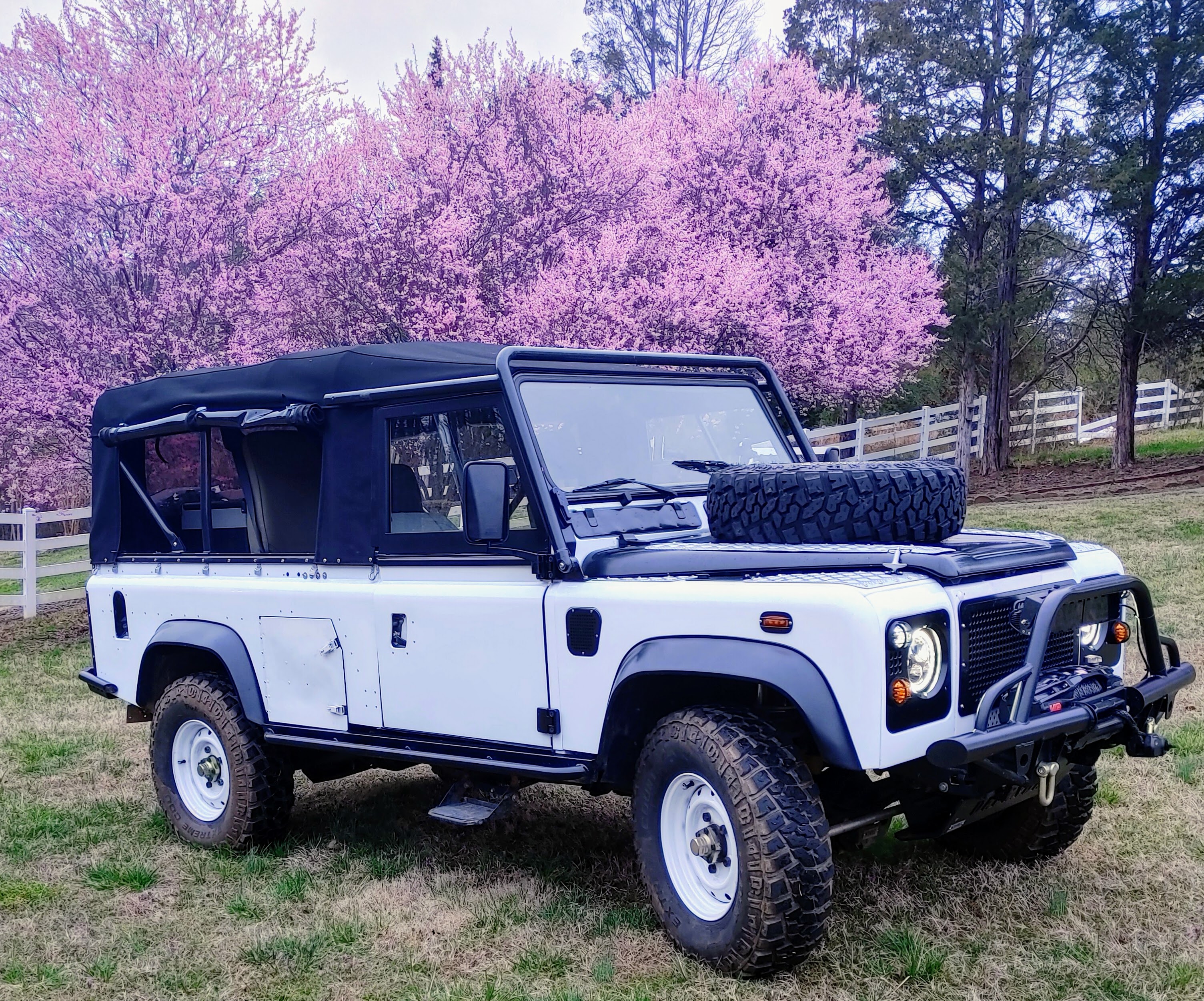 20230302_175424_HDR~2.jpg