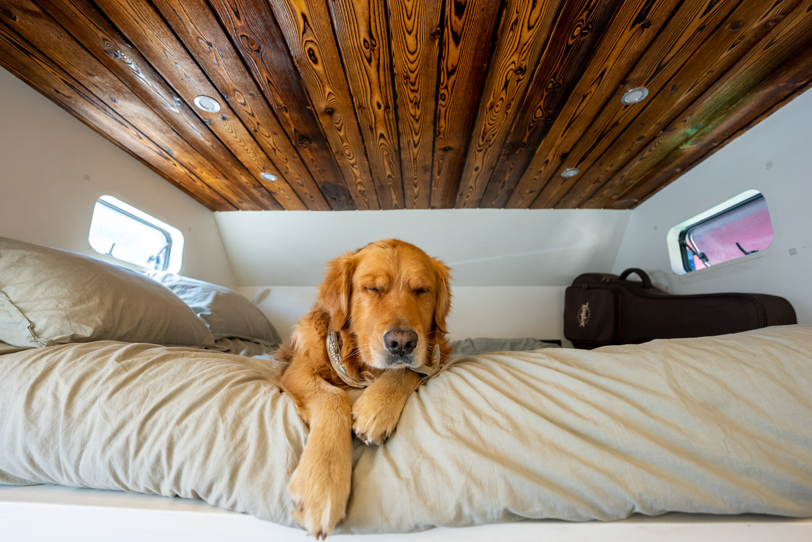 DSC00809.jpeg DSC00809.jpeg