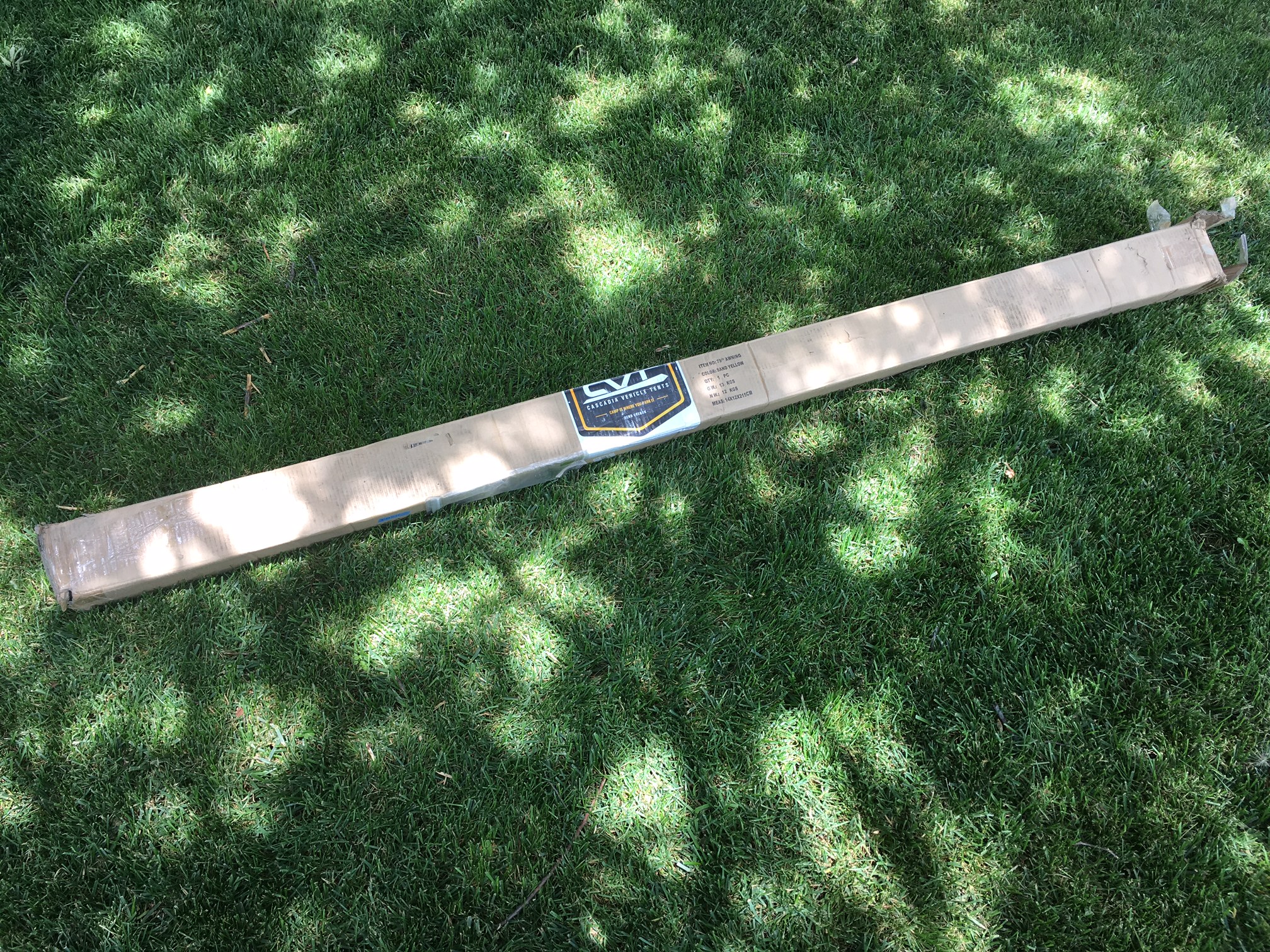 image.jpeg