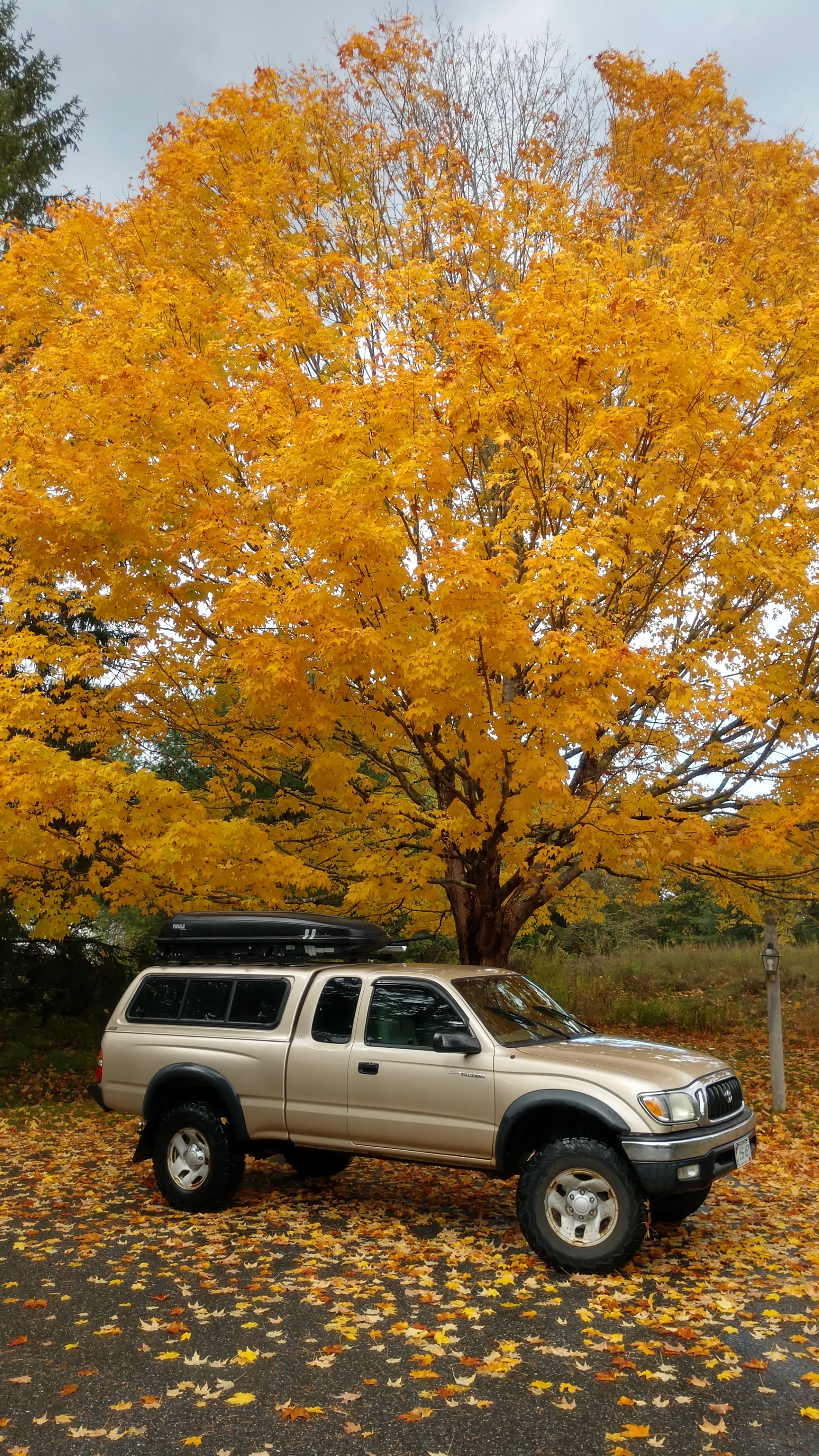 IMG_20181023_124229344_HDR.jpg