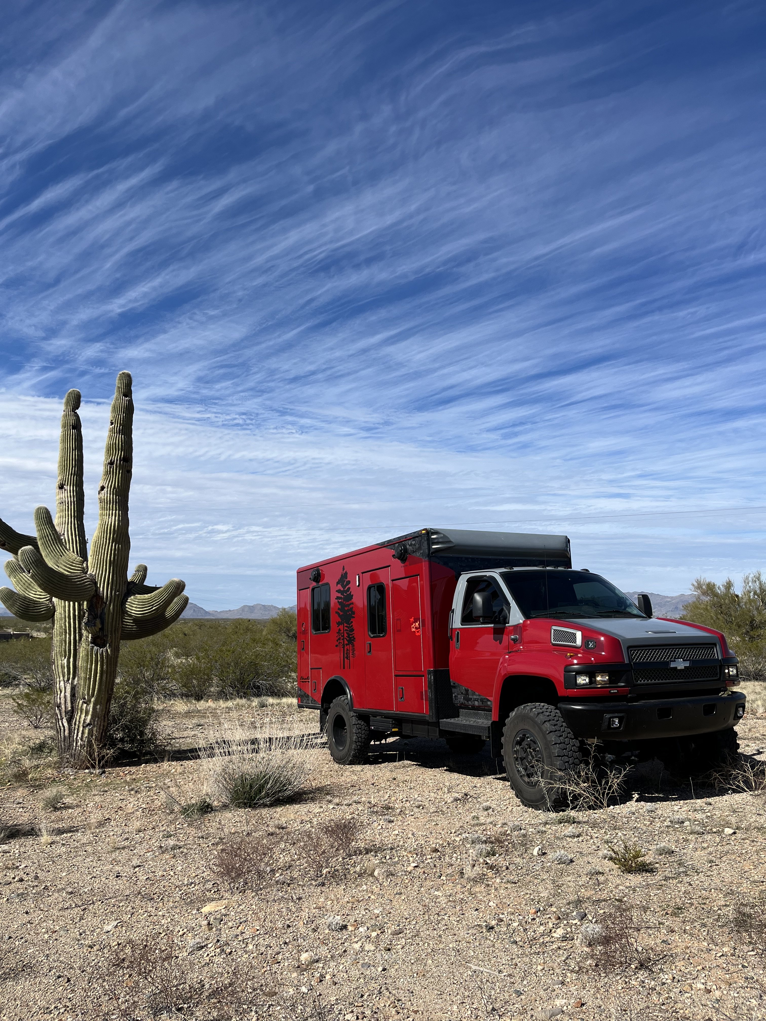 IMG_3782.JPG IMG_3782.JPG