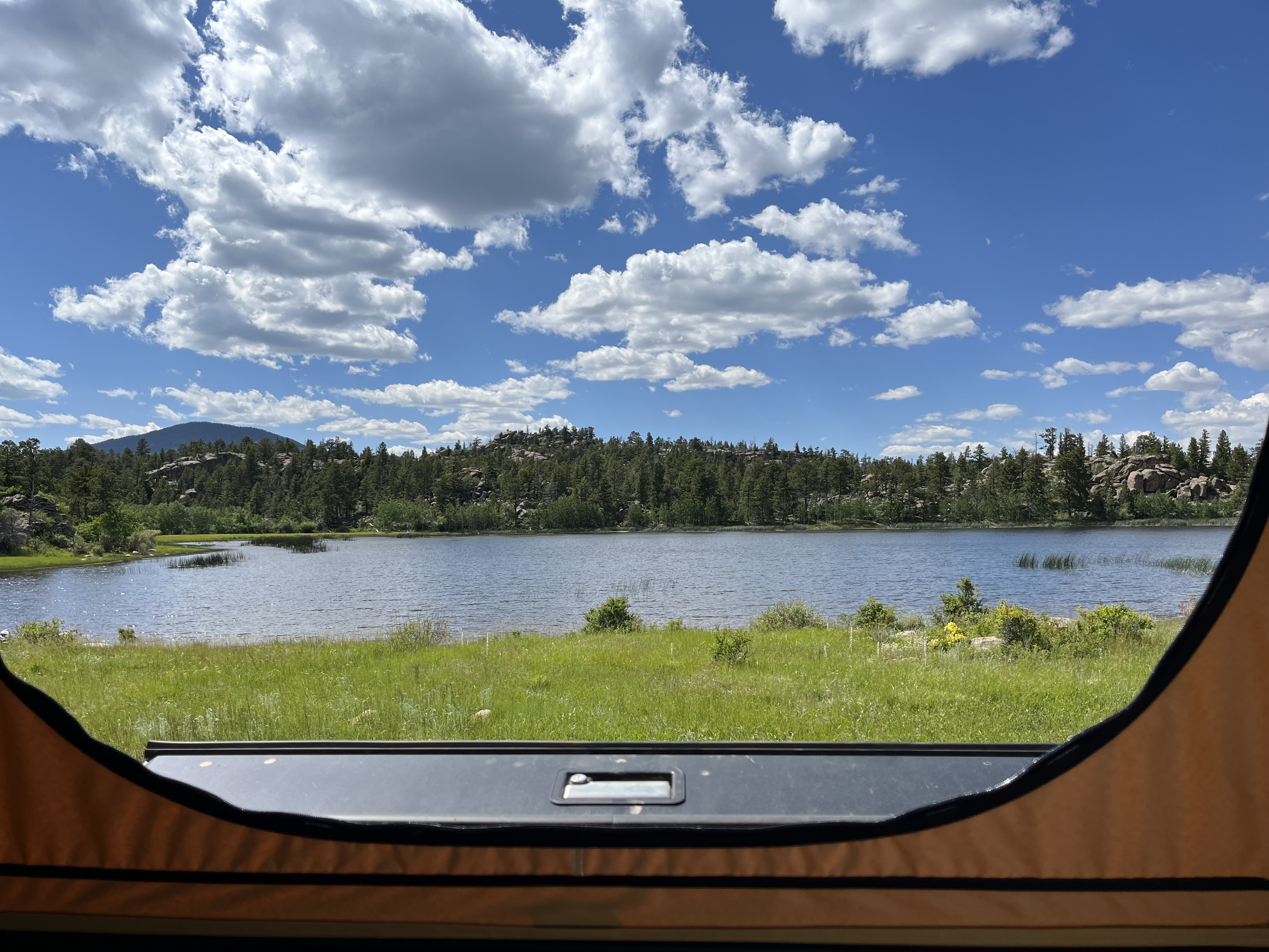 IMG_4176.jpeg IMG_4176.jpeg