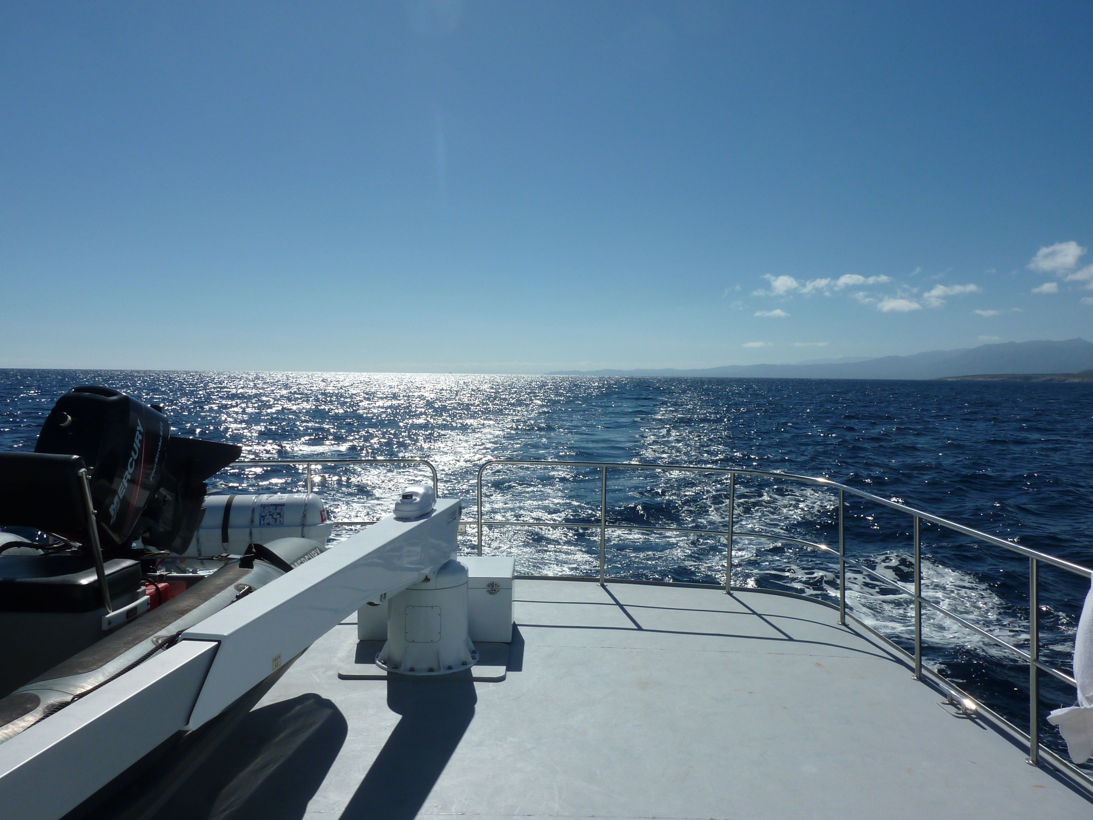 Scout Underway - Sea of Cortez.jpg