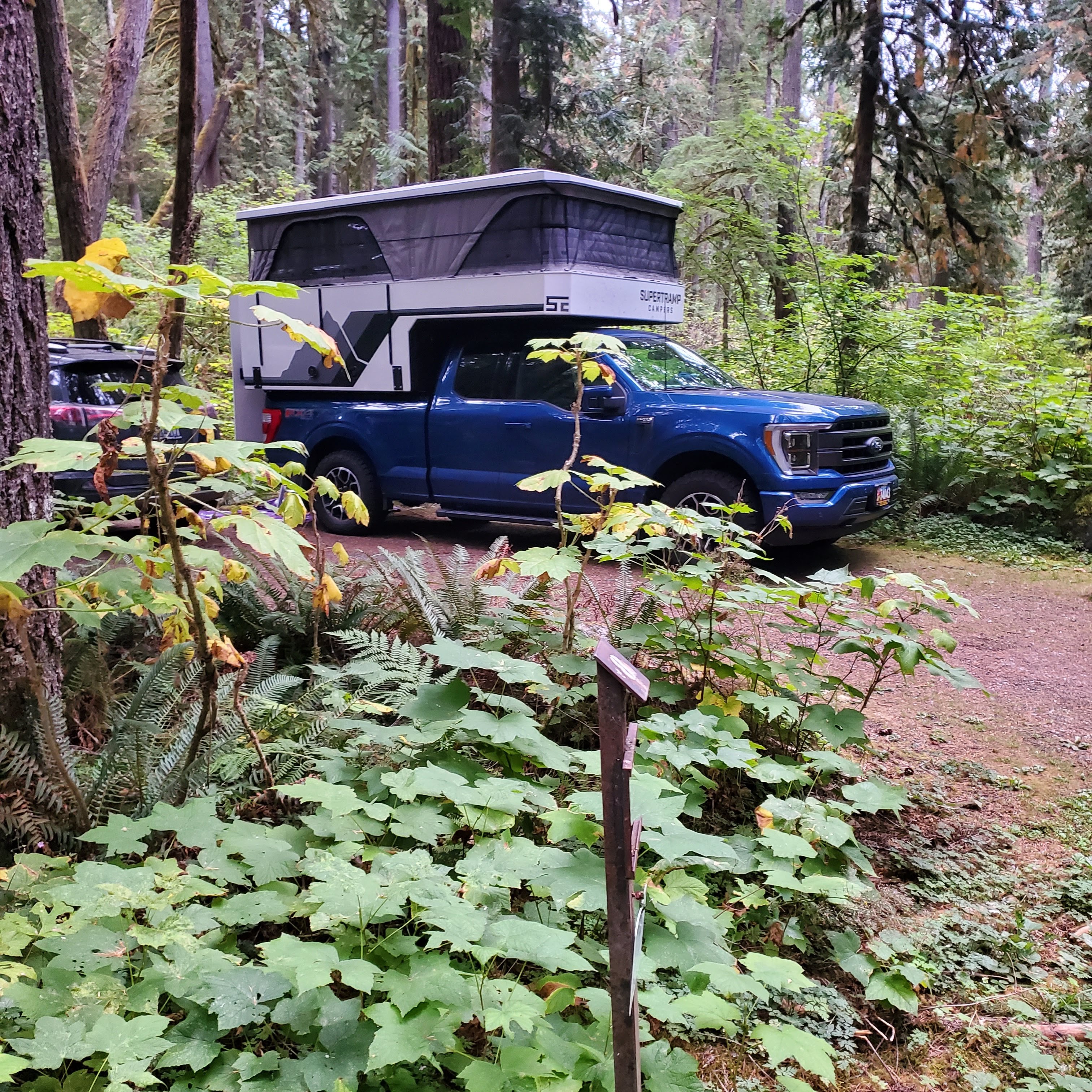 truck_up2.jpg