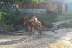 boy on burrow carrying wooden planks.JPG