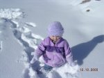 snow02.jpg