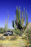 Baja 014a.jpg