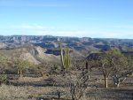 DSC02290.JPG