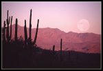 ArizonaDesertMoon!MarkStephens.jpg