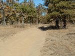 white river wildlife 004.jpg