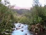 IMG_0189.jpg