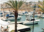 Marina puerto penasco.jpg