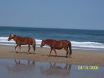 obx4.jpg