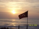 obx 6.jpg