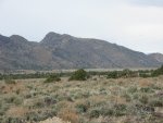 DesertCreek_0478_50.JPG