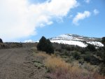 IMG_0467_40.JPG