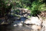 IMG_0025a.jpg