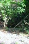 IMG_0030a.jpg