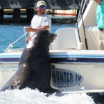 IMG_0008.jpg IMG_0008.jpg