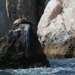 IMG_0034.jpg IMG_0034.jpg