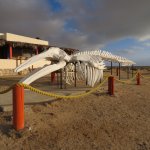 IMG_0009.jpg IMG_0009.jpg