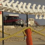 IMG_0011.jpg IMG_0011.jpg