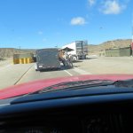 IMG_0133.jpg IMG_0133.jpg